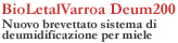 testo